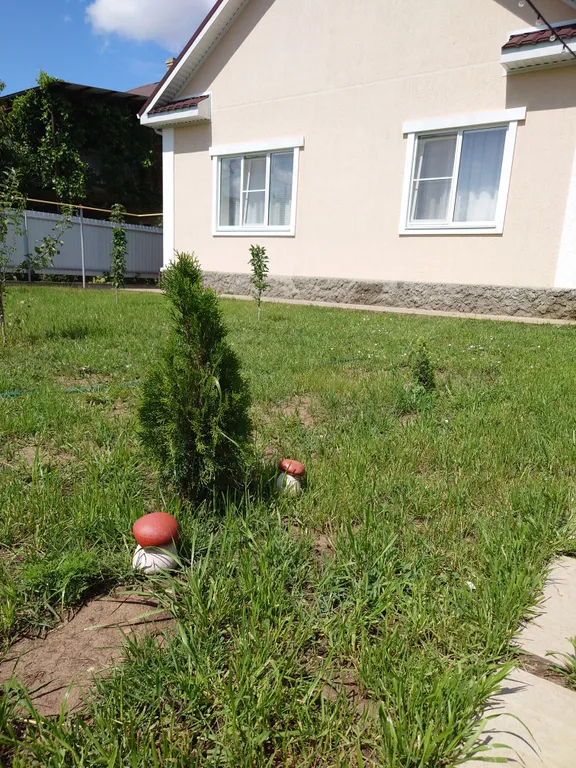 Уютный дом с хорошей энергетикой