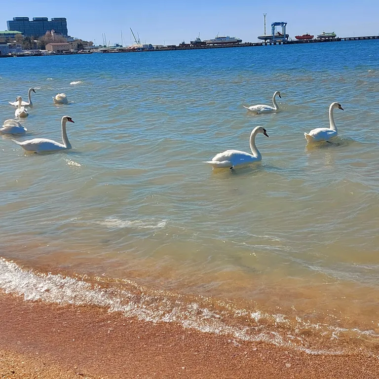 Квартира Квартира Студия с балконом и панорамным видом на море, Маяк и парк — Анапа