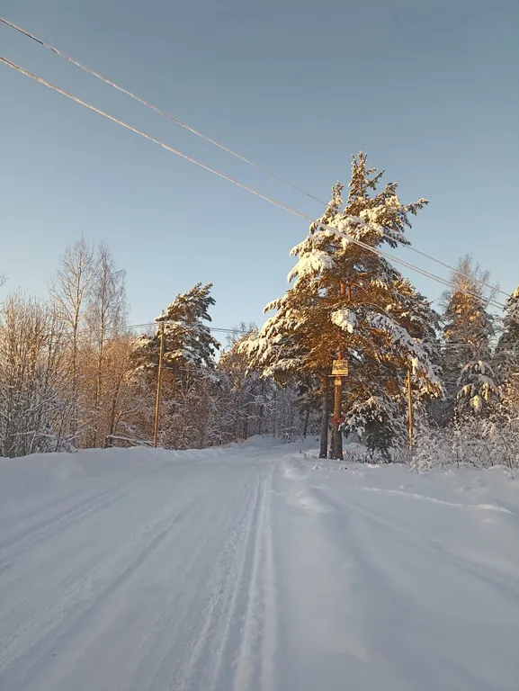 Уютный домик в живописном месте