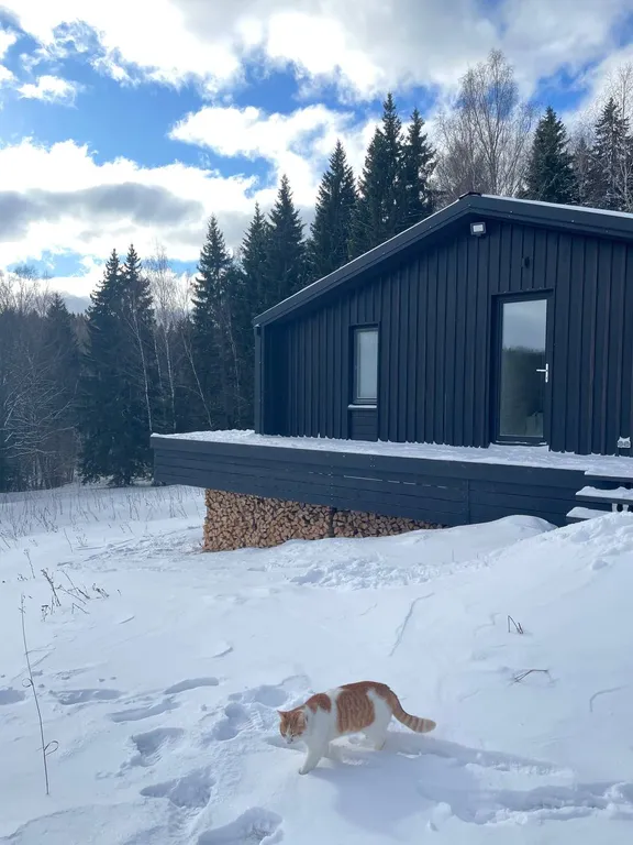 Сканди Domingo Dacha