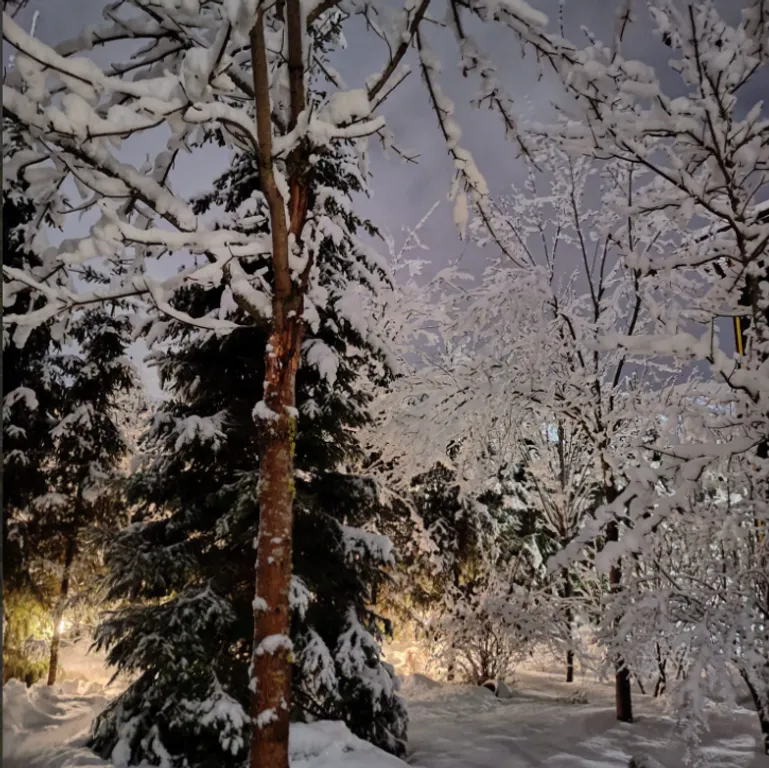 Уютный гостевой дом Живица