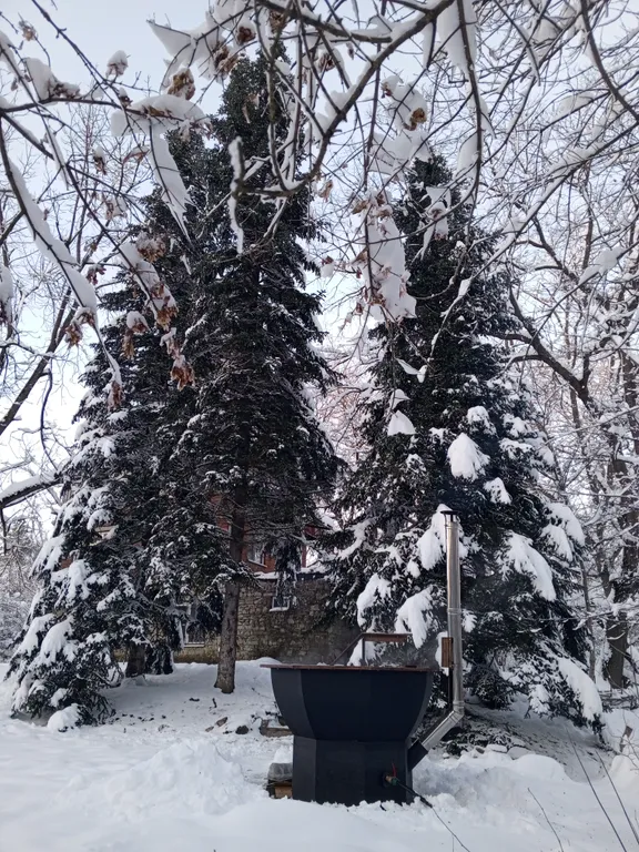 Коттедж Дом на берегу горной реки — Приреченский