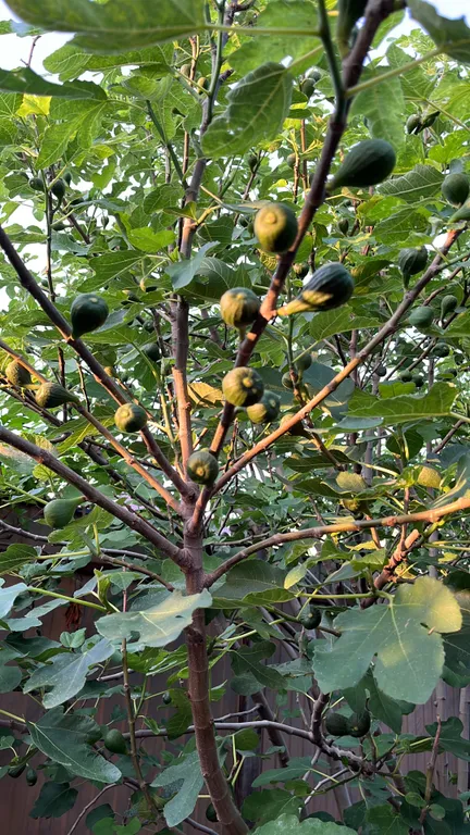 Тихий райский уголок