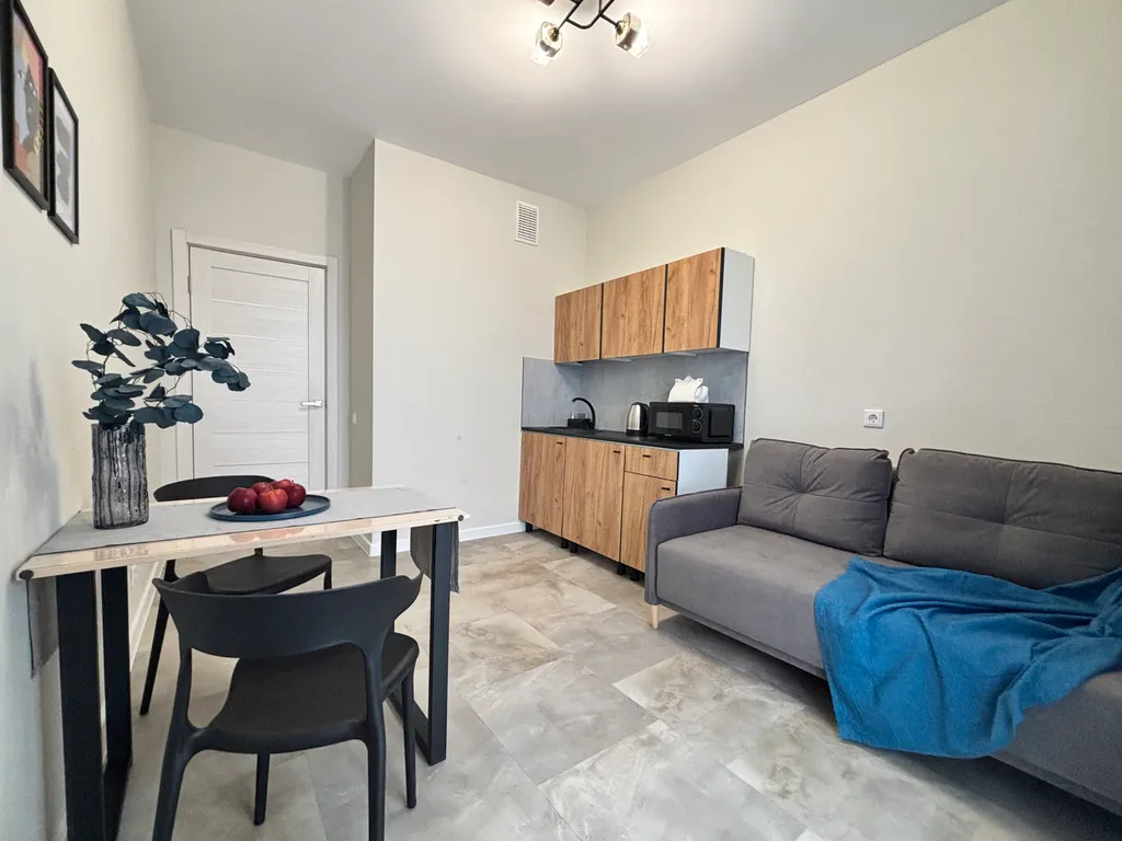 Уютные однокомнатные апартаменты