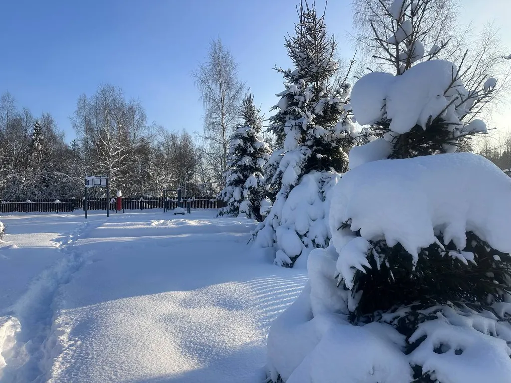 Русская усадьба с баней со швейцарским флёром