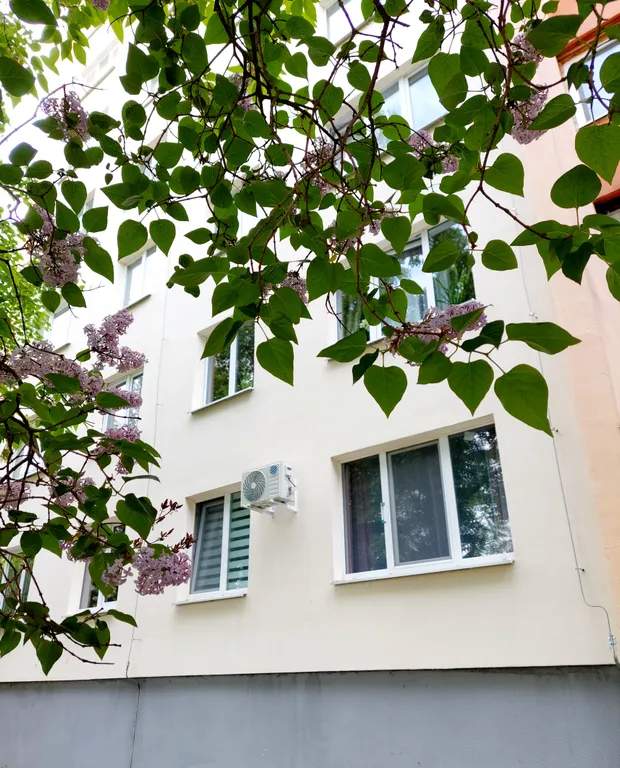 Комфортные и романтичные апартаменты в центре