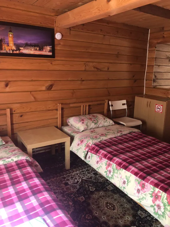 Комната с видом на березовый лес