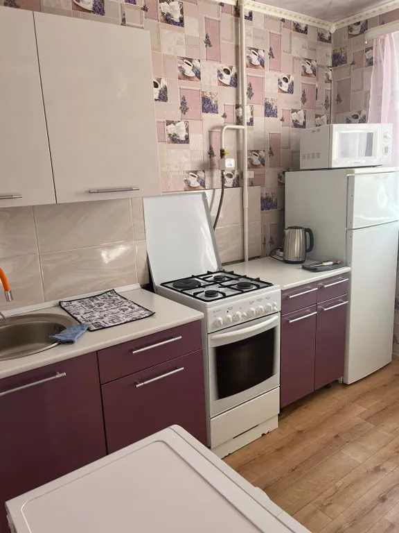 Квартира 1-комнатная большая квартира — Аша