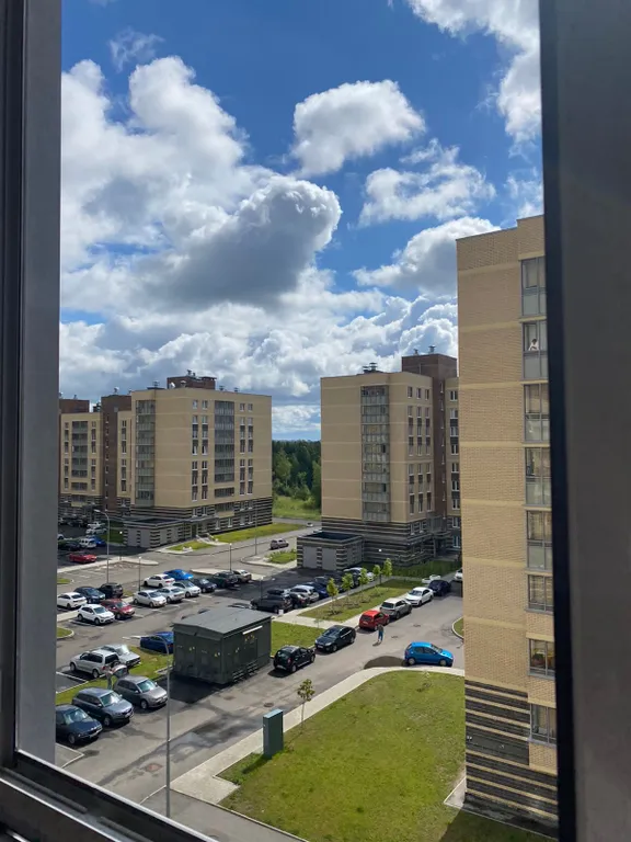 Квартира Просторная квартира в 5 мин от НИИ Петрова/Гранова — Песочный