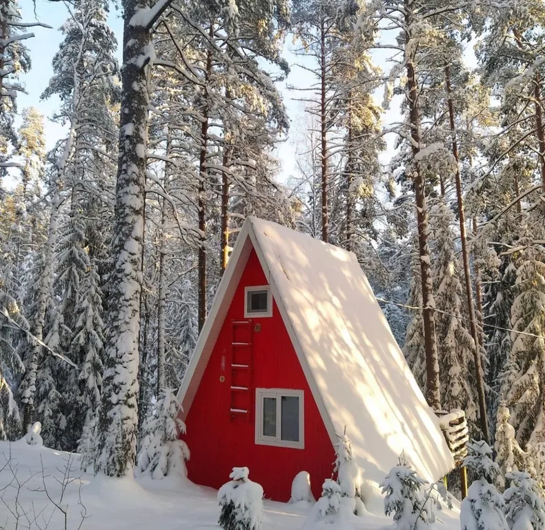 Коттедж 2-комнатный Дом — аренда посуточно в Зеленогорск