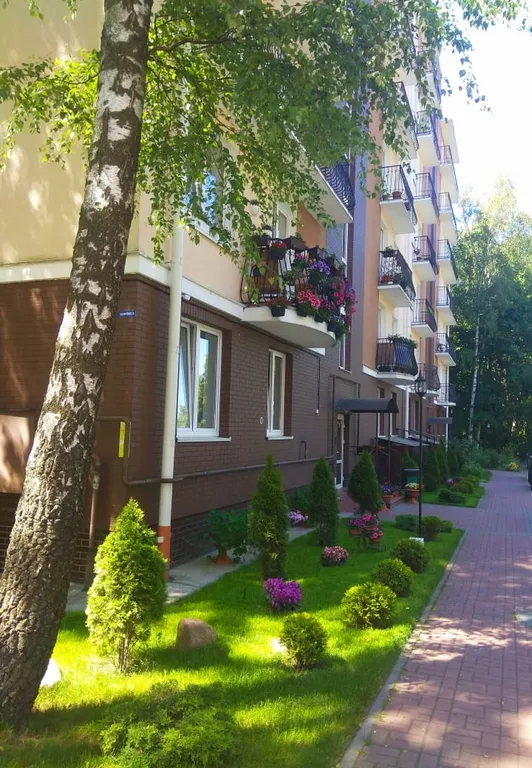 Квартира 1-комнатная Квартира — Светлогорск