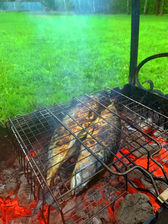 Дом с русской баней и горячей купелью