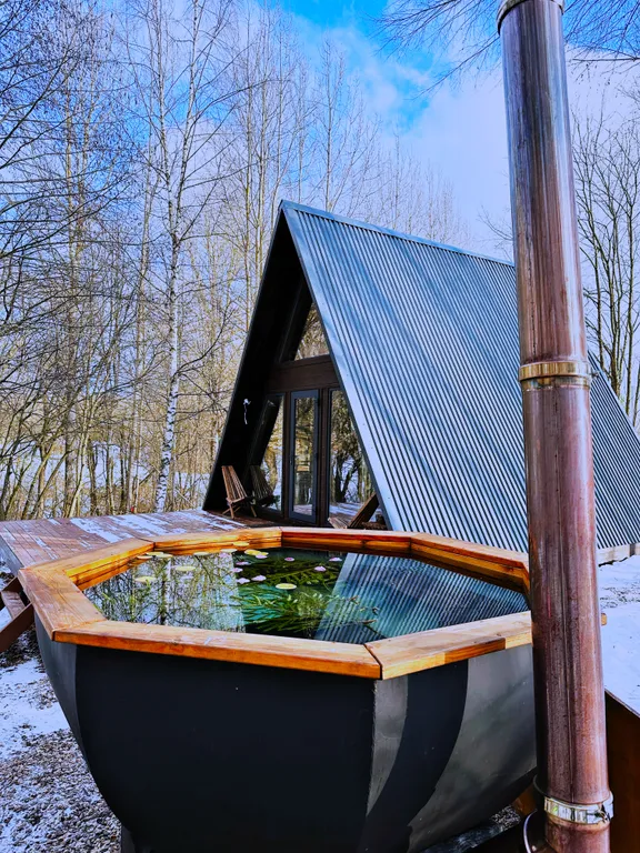 Коттедж Уютный дом с купелью — Александров