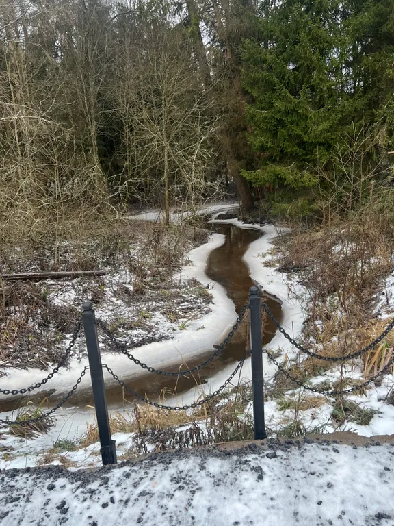 Уютный дом у леса