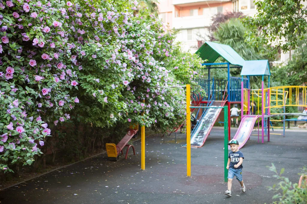 Квартира 2-комнатная Квартира — Сочи