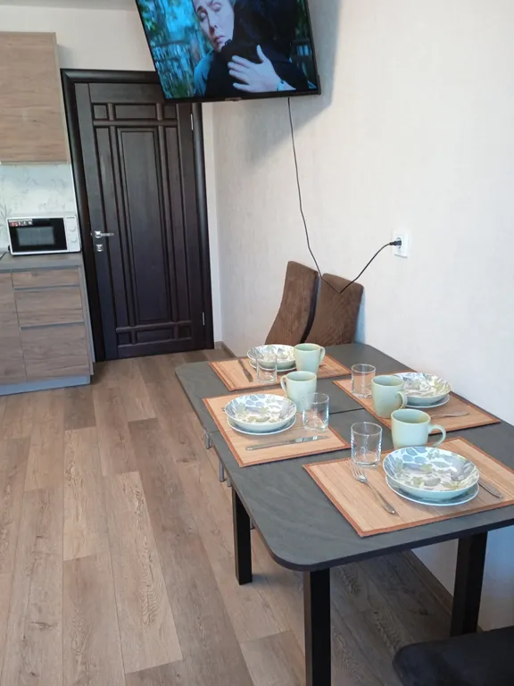 Квартира 1-комнатная квартира с кухней-гостинной в центре города — Ярославль