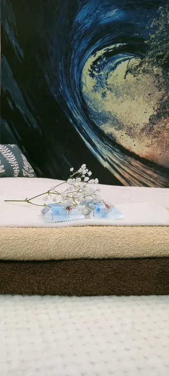 Студия Волна