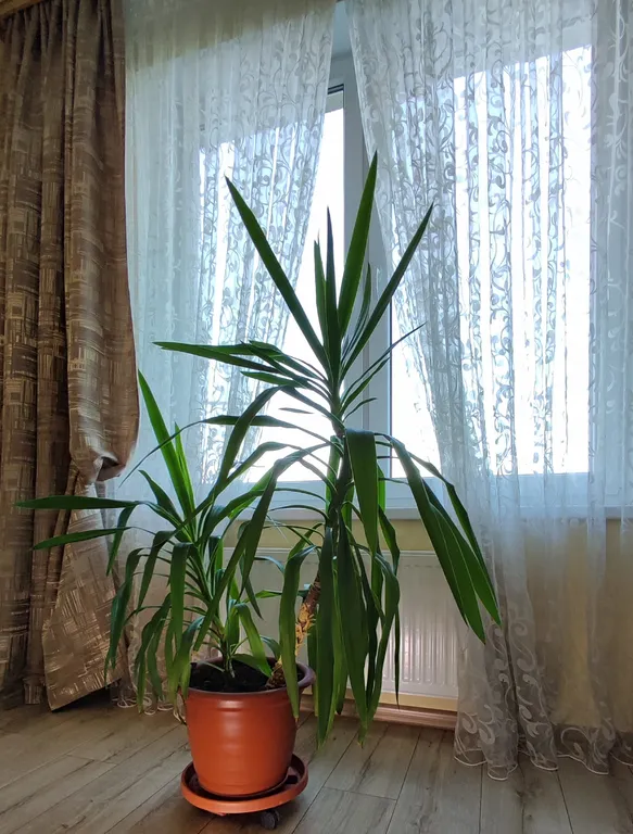 Квартира на побережье