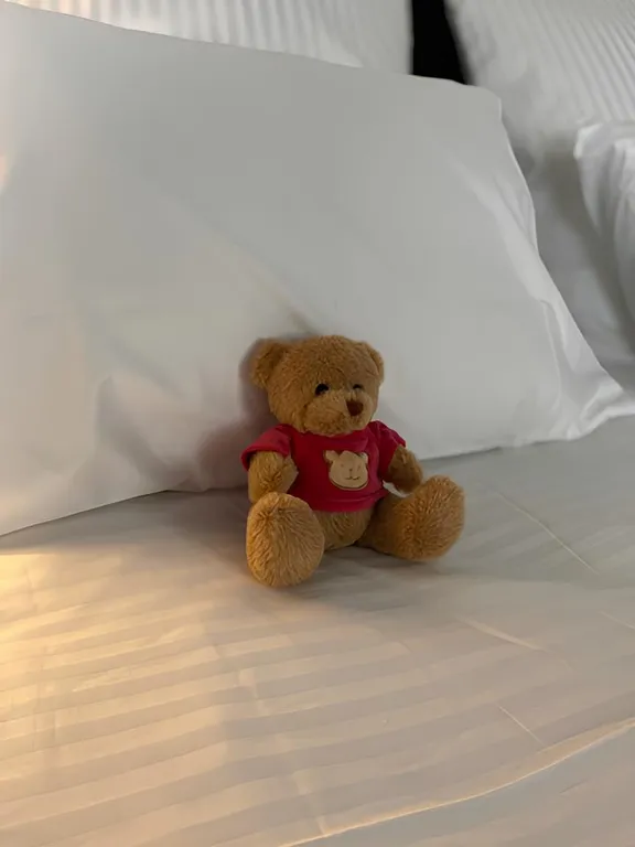 Апартамент в центре