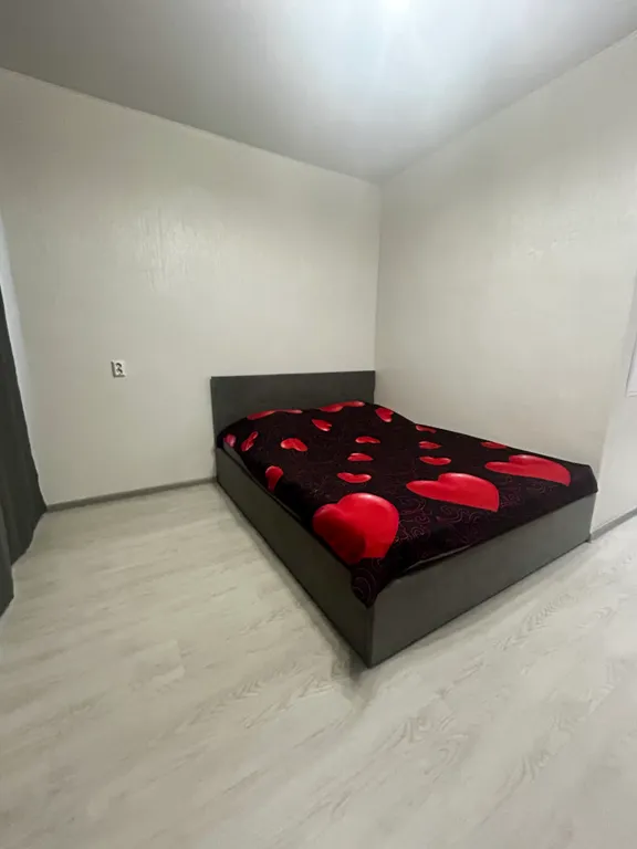 Просторная студия у парка