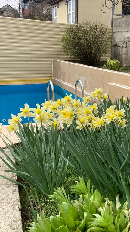 Дом у моря с бассейном и баней под ключ