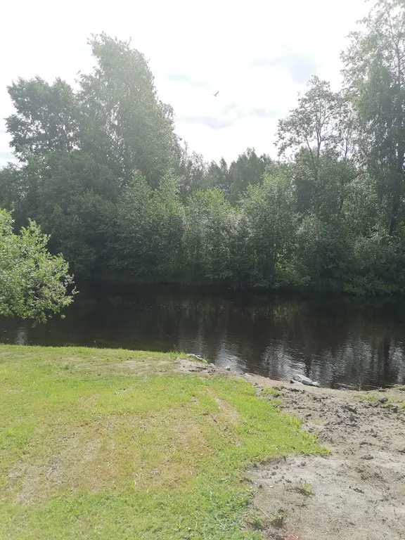 Уютный домик у реки