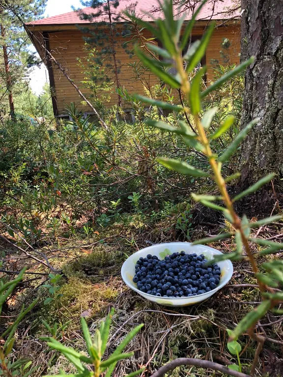 Коттедж Коттедж в Карелии с тремя спальнями — Нурмойла
