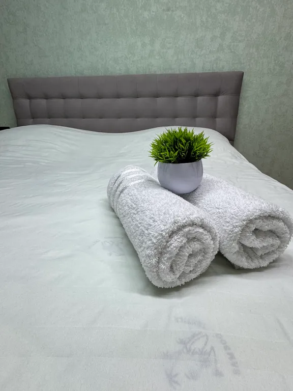 Квартира рядом с Коллажем, памятником Победы — аренда посуточно в Пенза