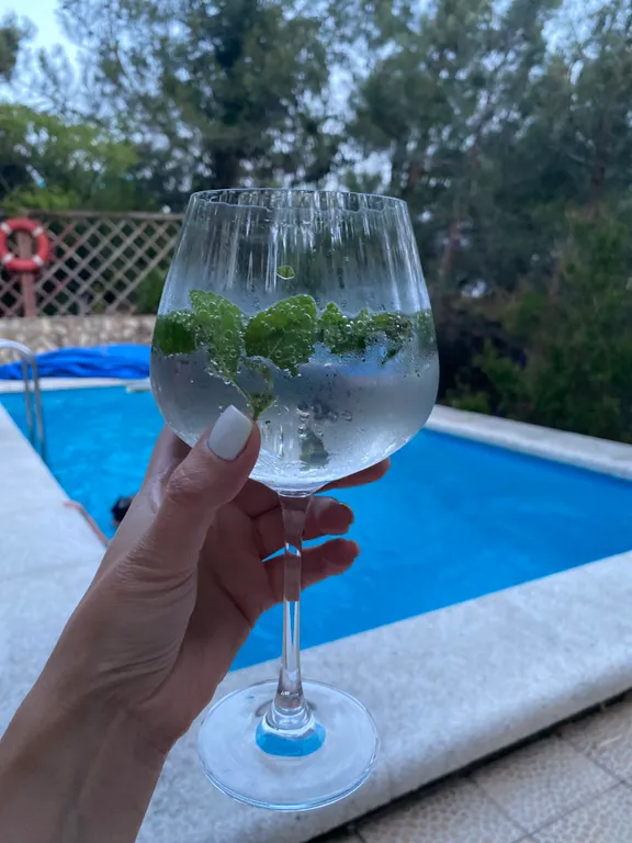 Апартаменты люкс с сауной, беседкой и бассейном