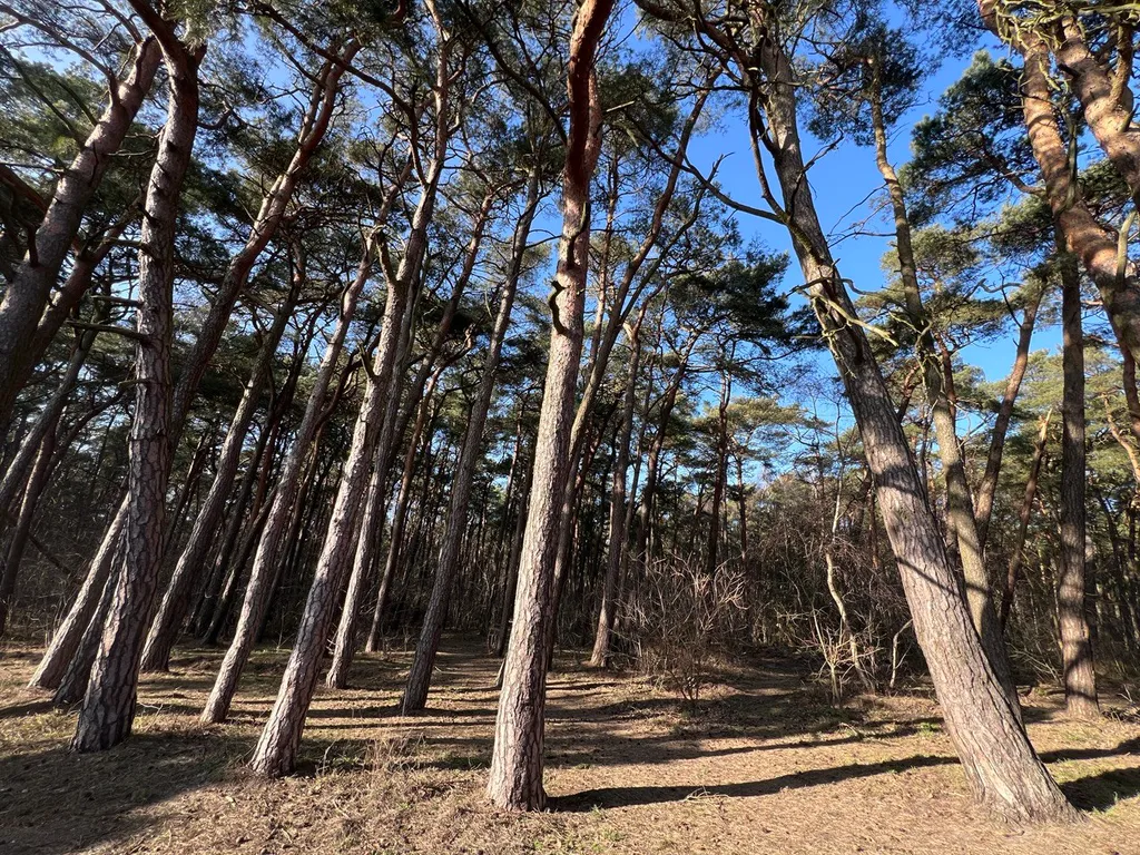 Дом у моря для большой компании