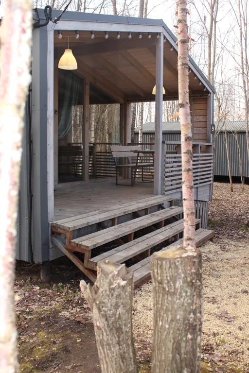 Дом в березовой роще