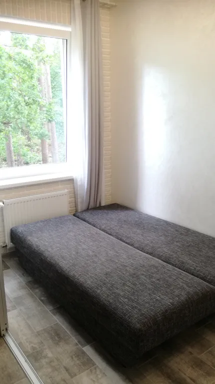 Студия в Сосновом бору