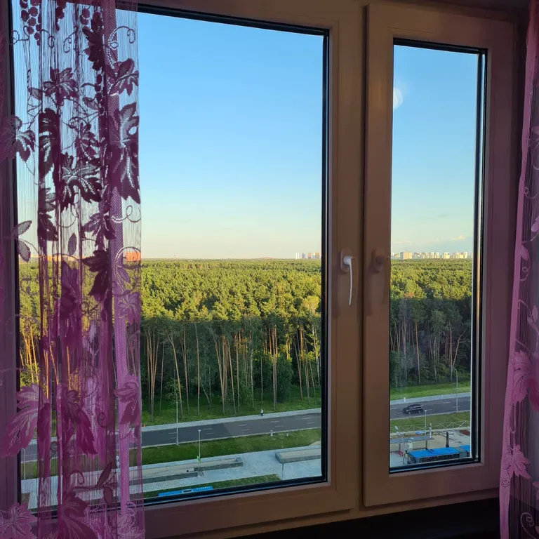 Квартира Просторная квартира со всем необходимым рядом с метро Новопеределкино — Москва