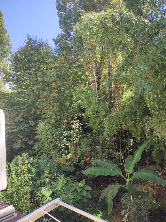 Студия на Мамайке