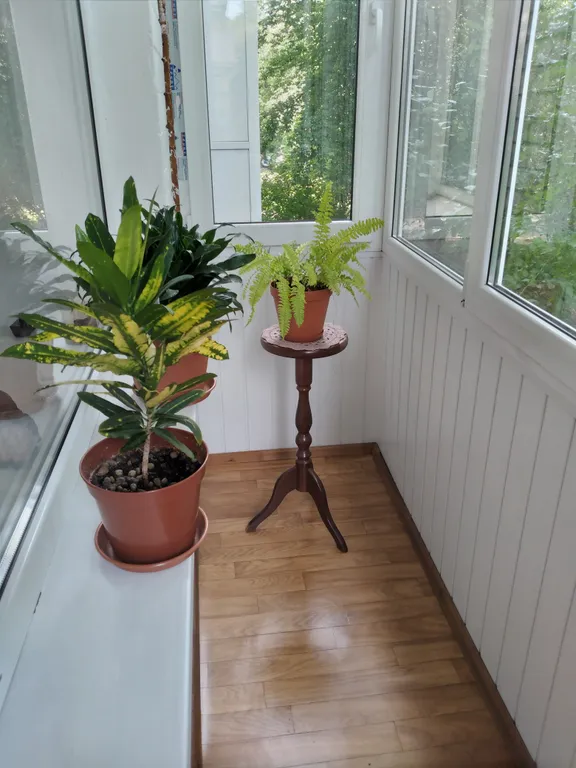 Квартира Уютная квартира в центре города — Калининград