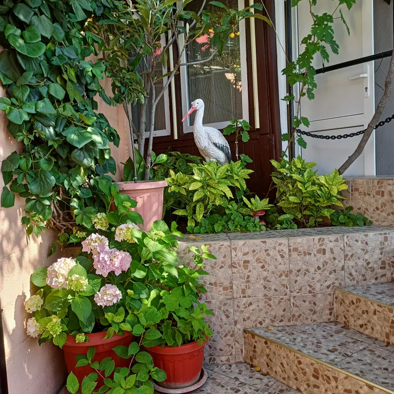 Уютный домик с видом на море и горы