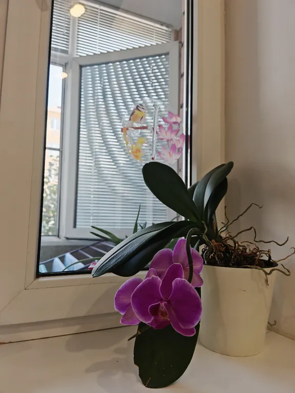 Идеальная квартира для Вашего комфортного отдыха