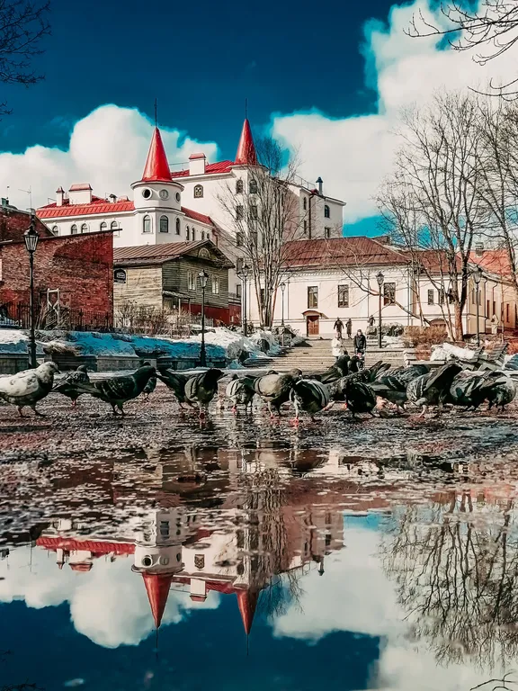 Апартамент W