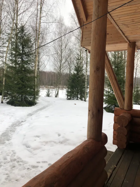 Лесная сказка