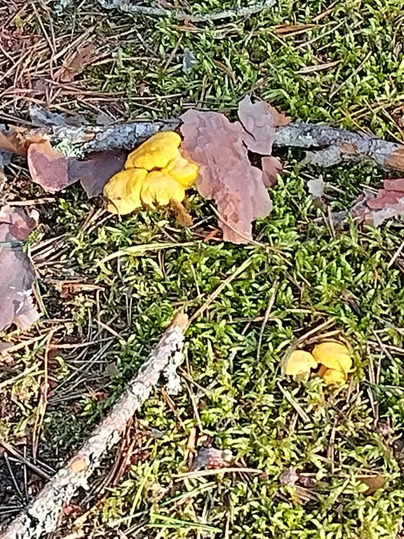 Дом на берегу Вышневолоцкого водохранилища