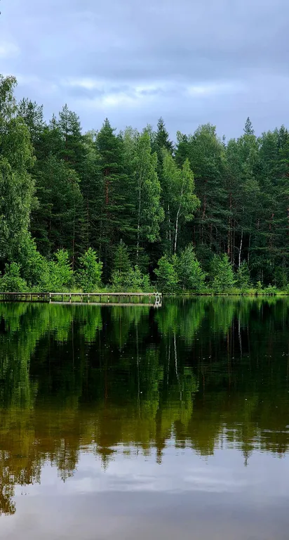 Коттедж Гостевой дом Уютная Орхидея — Первомайское