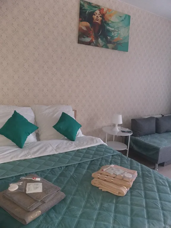 Уютная квартира в близи городского парка — аренда посуточно в Подольск