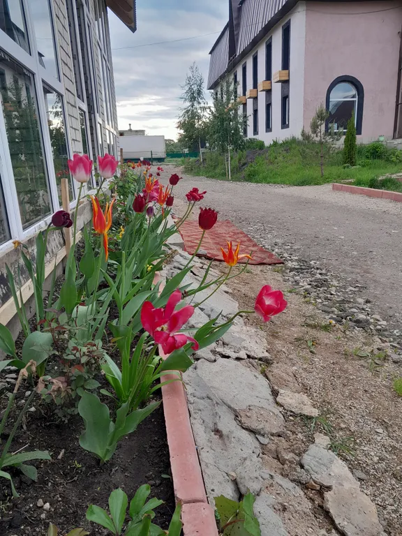 Апартаменты в гостевом доме