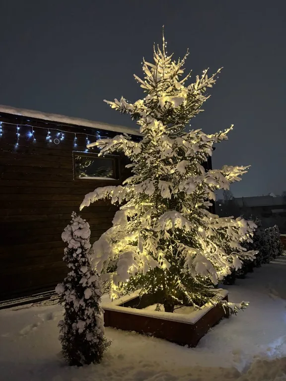 Гостевой двор Терем