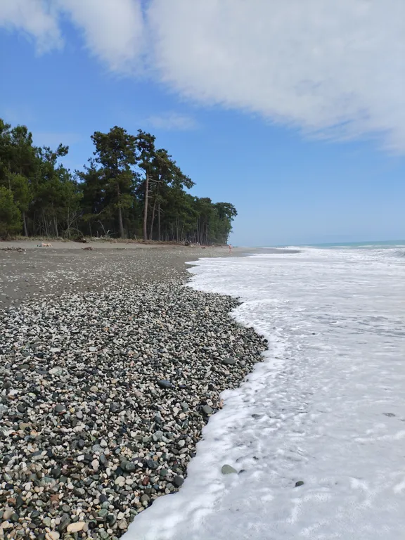 Коттедж в заповеднике