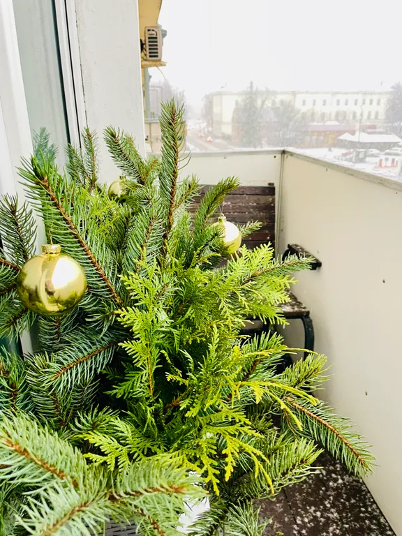 Апартаменты у стен Кремля