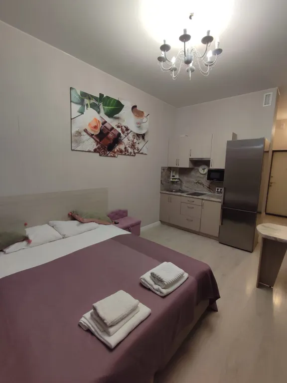 Квартира 1-комнатная Квартира — Санкт-Петербург