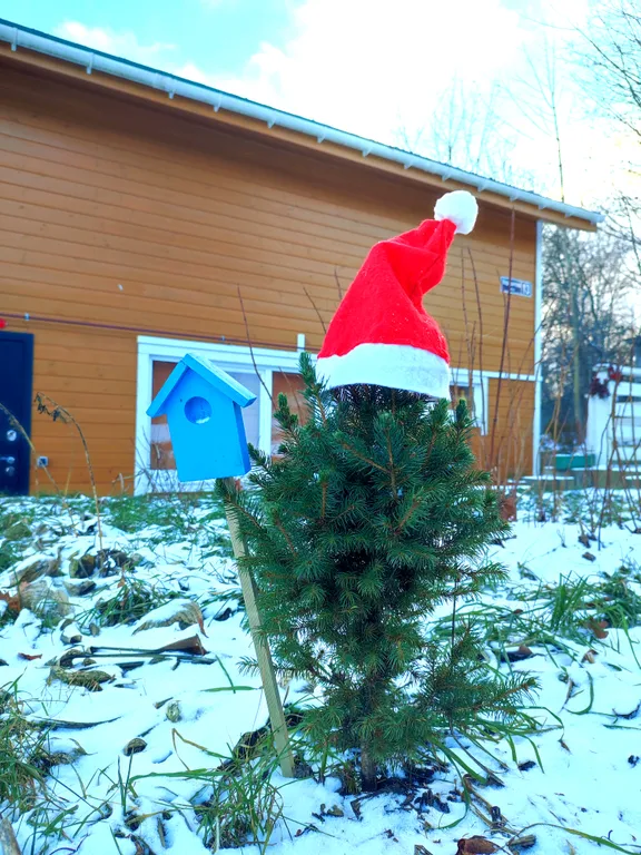 Петербургская дача на холме прямо у озера
