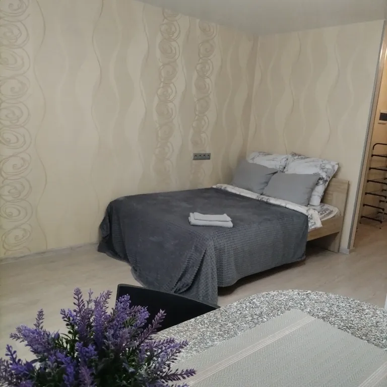 Уютная студия, новый благоустроенный район, есть всё необходимое