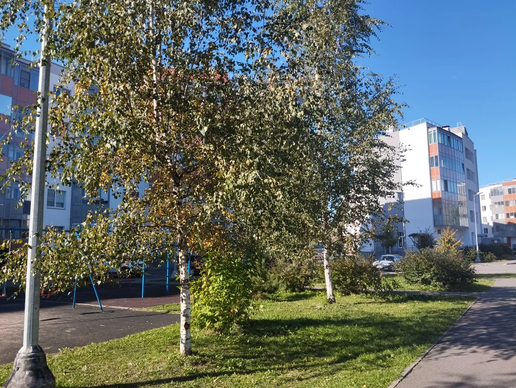 Уютная студия в Петродворцовом районе Санкт-Петербурга в Петергоф